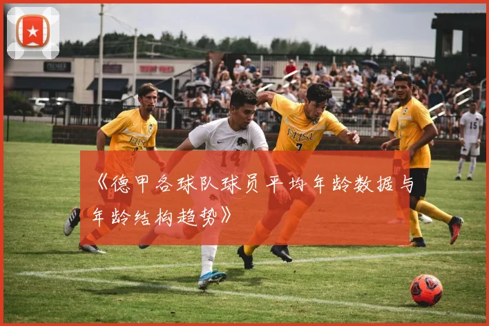 《德甲各球队球员平均年龄数据与年龄结构趋势》