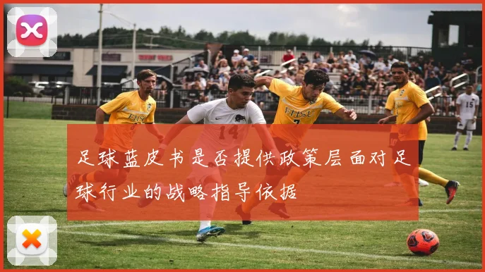 足球蓝皮书是否提供政策层面对足球行业的战略指导依据