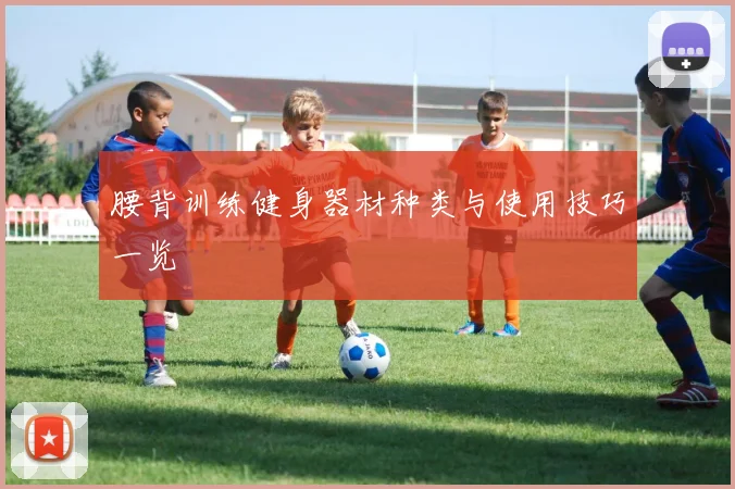 腰背训练健身器材种类与使用技巧一览