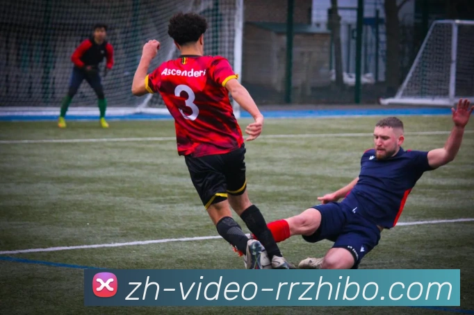 人人体育平台生态图